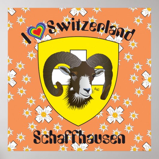 Schaffhausen - Zwitserland - Suisse - Svizzera Pos Poster (Voorkant)
