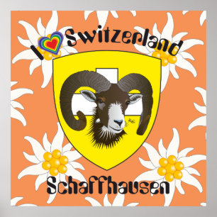 Schaffhausen - Zwitserland - Suisse - Svizzera Pos Poster