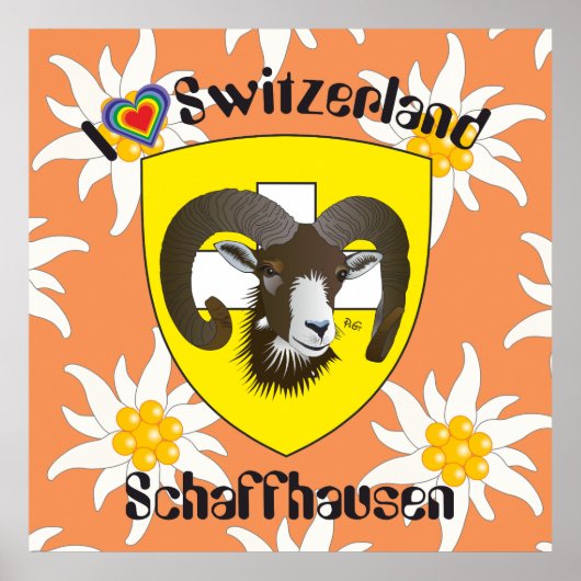 Schaffhausen - Zwitserland - Suisse - Svizzera Pos Poster (Voorkant)