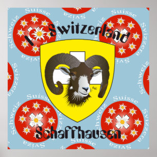 Schaffhausen - Zwitserland - Suisse - Svizzera Pos Poster