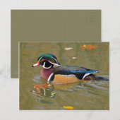 SCHAKELEN IN DE MACHT. BEAUTIFULE WOOD DUCK GIFT BRIEFKAART (Voorkant / Achterkant)