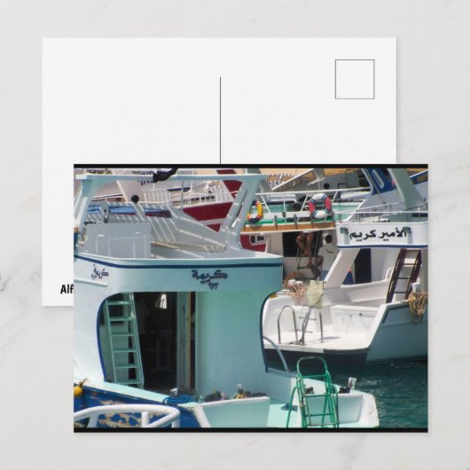 Schakeringen van de Hurghada-kust Briefkaart (Voorkant / Achterkant)