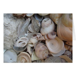 Schalen