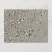 Schalen Briefkaart (Voorkant)