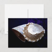 Schalen Briefkaart (Voorkant / Achterkant)