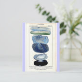  schalen briefkaart (Staand voorkant)