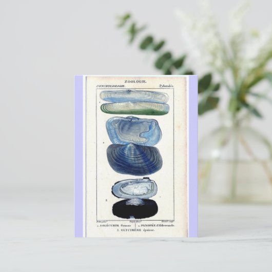  schalen briefkaart (Staand voorkant)