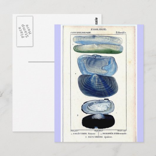  schalen briefkaart (Voorkant / Achterkant)