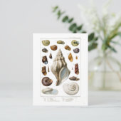 Schalen Briefkaart (Staand voorkant)