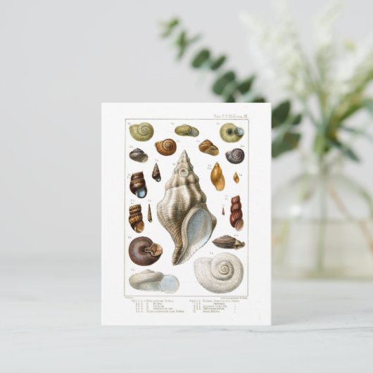 Schalen Briefkaart (Staand voorkant)