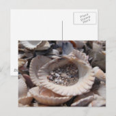 Schalen Briefkaart (Voorkant / Achterkant)