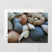 schalen briefkaart (Voorkant / Achterkant)