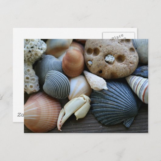 schalen briefkaart (Voorkant / Achterkant)