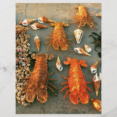 Schalen Flyer (Voorkant)