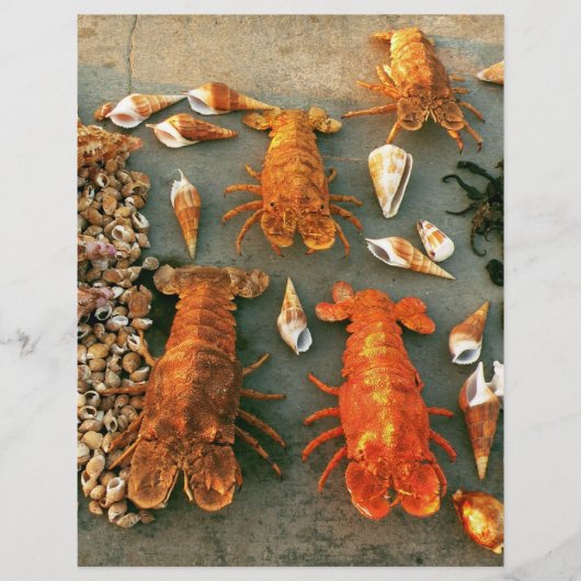 Schalen Flyer (Voorkant)