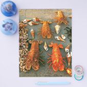 Schalen Flyer (Enkel)