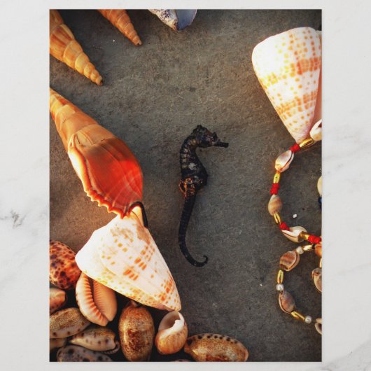 Schalen Flyer (Voorkant)