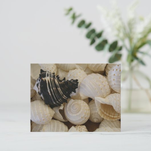 Schalen I Briefkaart (Staand voorkant)