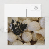 Schalen I Briefkaart (Voorkant / Achterkant)