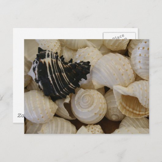 Schalen I Briefkaart (Voorkant / Achterkant)