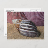 Schalen in het zand Briefkaart (Voorkant / Achterkant)