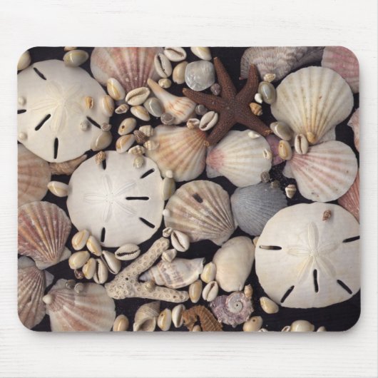 Schalen Muismat (Voorkant)