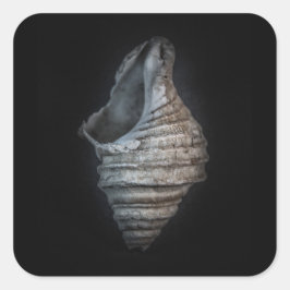 Schalen nr. 6 Kleurenversie Vierkante Sticker