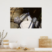 Schalen Poster (Keuken)