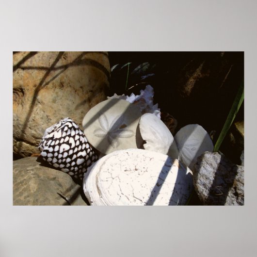 Schalen Poster (Voorkant)