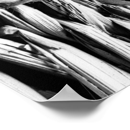 Schalen Poster (Hoek)