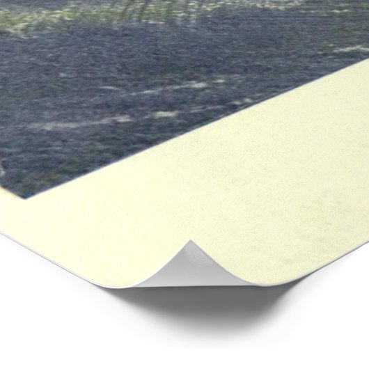  schaliegasschilfers (1909) poster (Hoek)