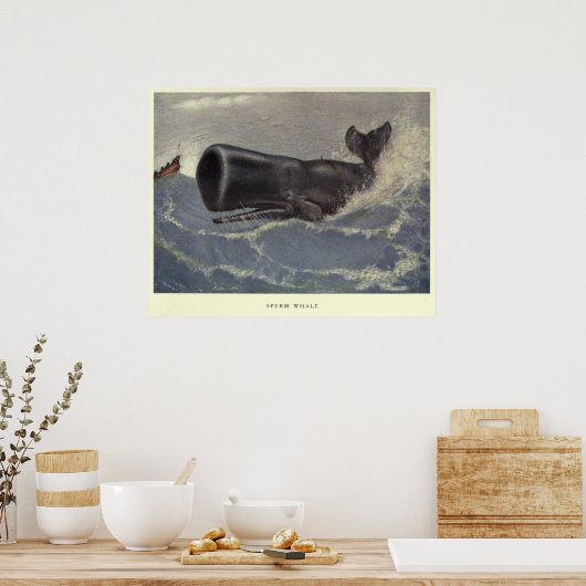  schaliegasschilfers (1909) poster (Keuken)