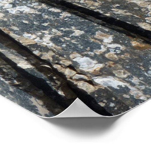 schaliegeboorten poster (Hoek)