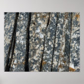 schaliegeboorten poster (Voorkant)