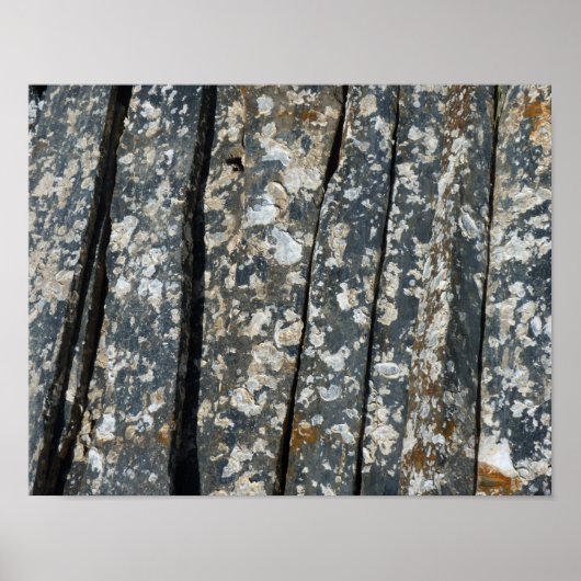 schaliegeboorten poster (Voorkant)