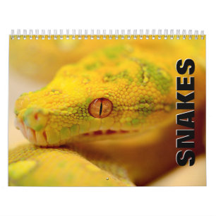 Schandelijke agenda van Snakes Kalender