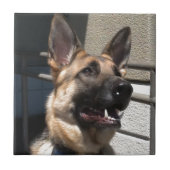 Schapel Tegeltje (Voorkant)