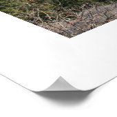 Schapel van het Heilige Kruis Poster (Hoek)