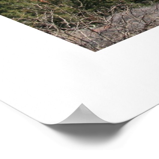 Schapel van het Heilige Kruis Poster (Hoek)