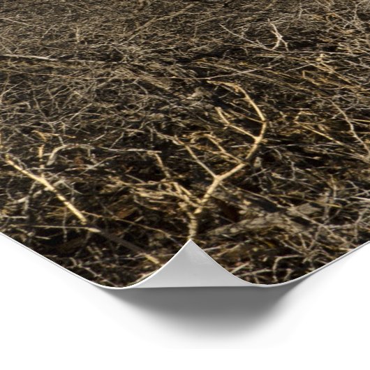 Schapel van het Heilige Kruis Poster (Hoek)