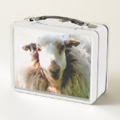 SCHAPEN (Achterkant)