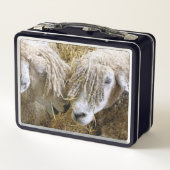 SCHAPEN (Achterkant)