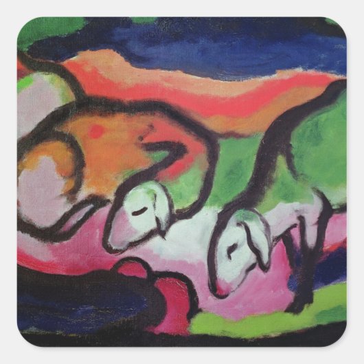 Schapen, 1912 vierkante sticker (Voorkant)