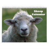 Schapen 2025 kalender (Hoes)
