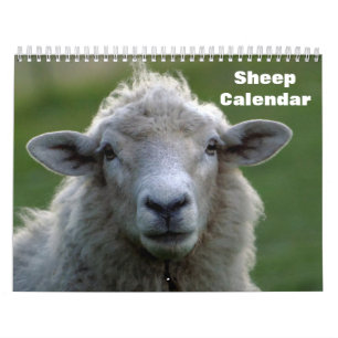 Schapen 2027 kalender