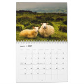 Schapen 2027 kalender (Mar 2027)