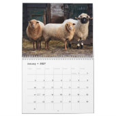 Schapen 2027 kalender (Jan 2027)