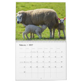 Schapen 2027 kalender (Feb 2027)