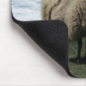 Schapen aan de wilde zuidkust van Devon Muismat (Hoek)