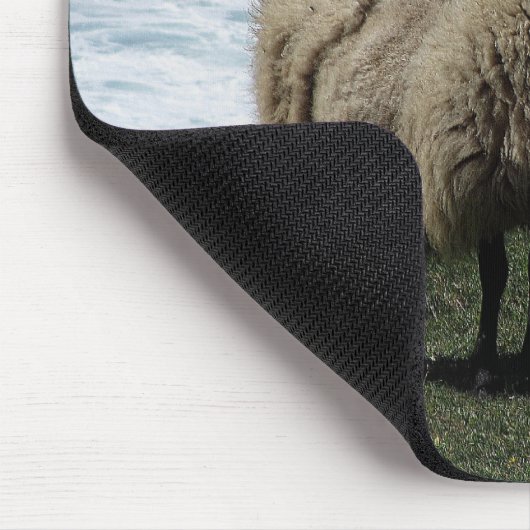 Schapen aan de wilde zuidkust van Devon Muismat (Hoek)